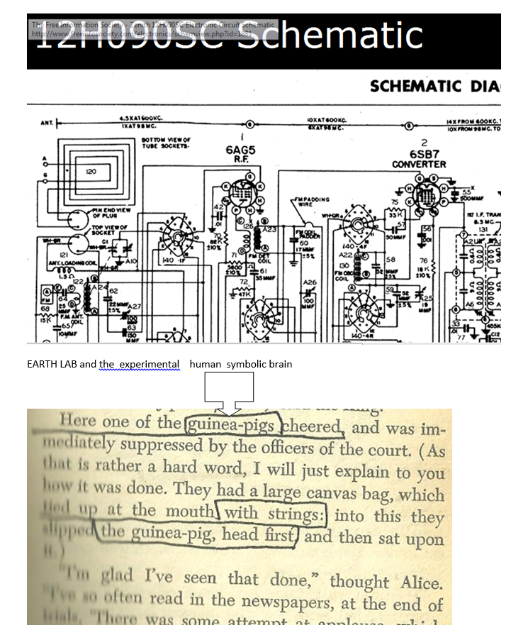 p-310-7.PNG